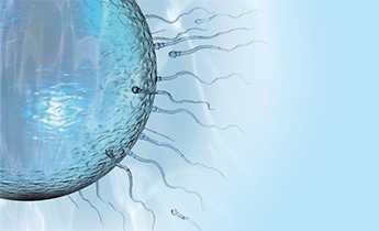 Girard recommends best of Selenium sperm quality sperm quality Selenium