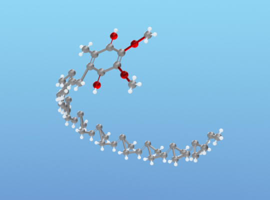 What Is Coenzyme Q10 Ubiquinone Ubiquinol