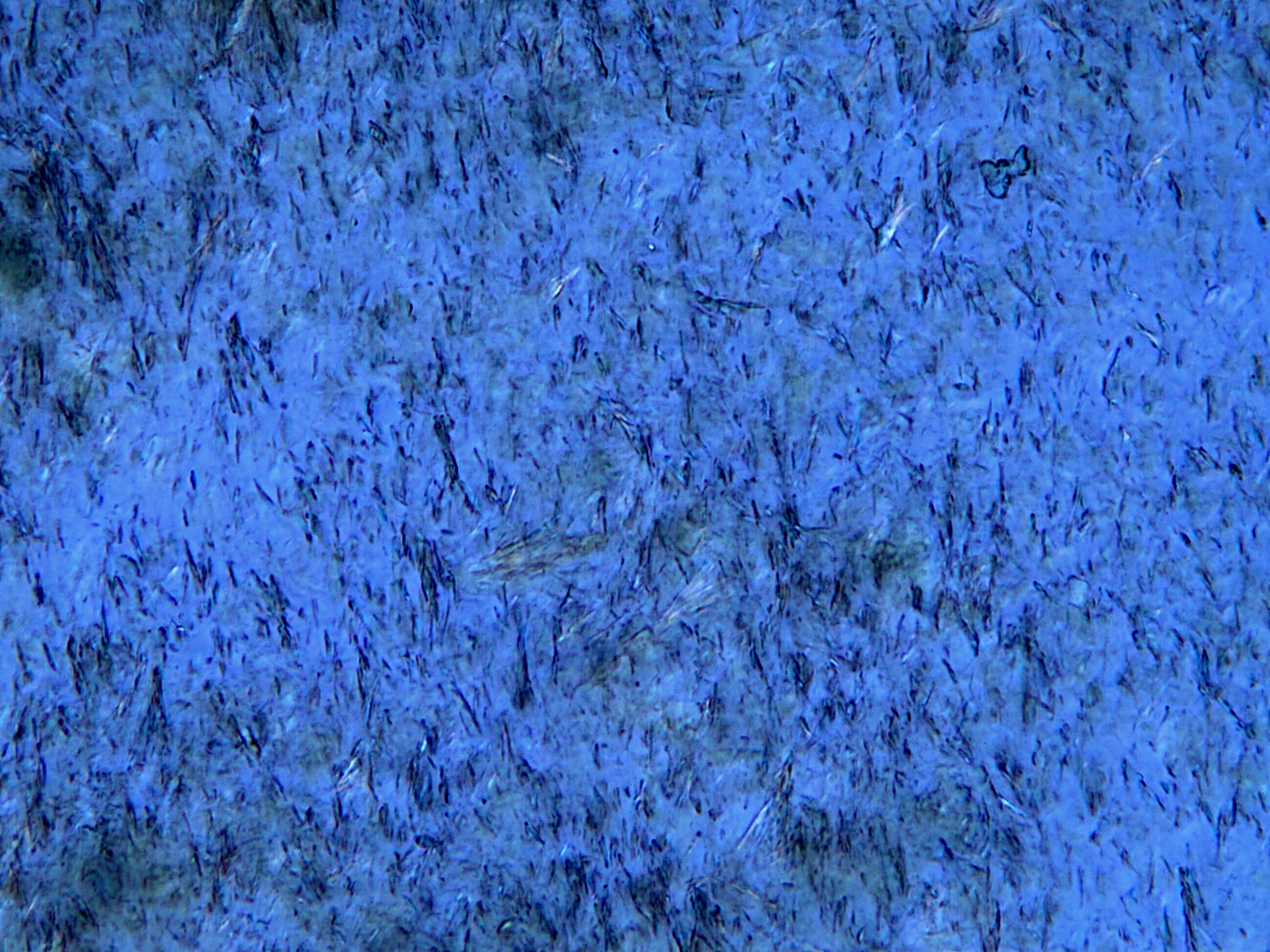 Microscope image Bio-quinone