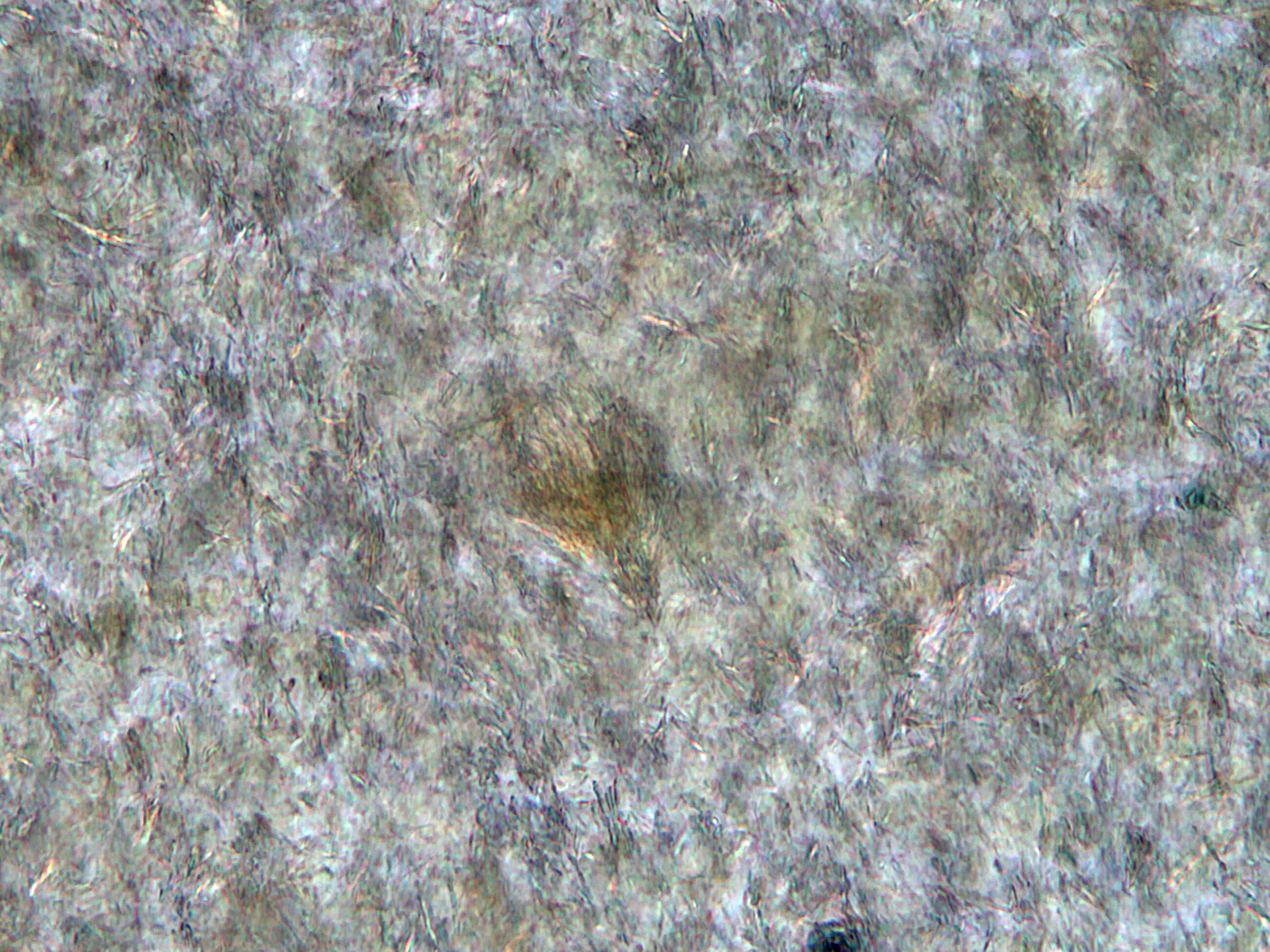 Microscope image Bio-quinone