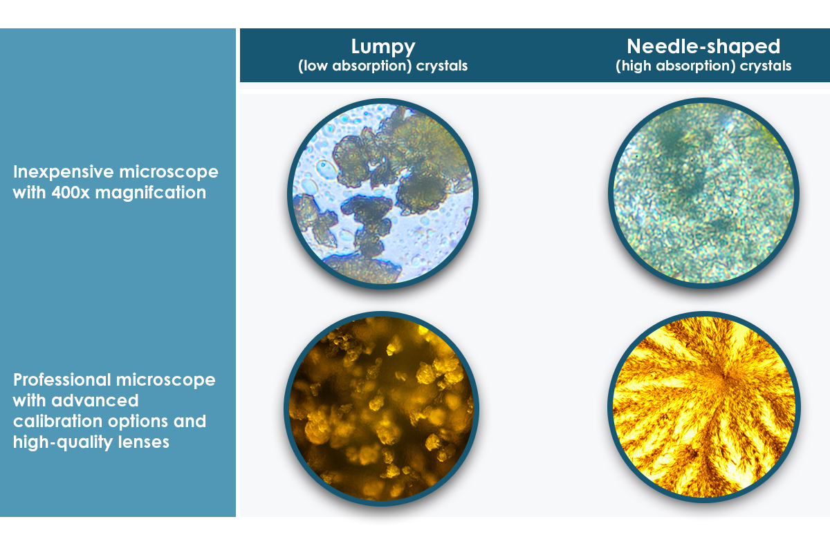 Step-by-step process of setting up the microscope and CoQ10 preparation