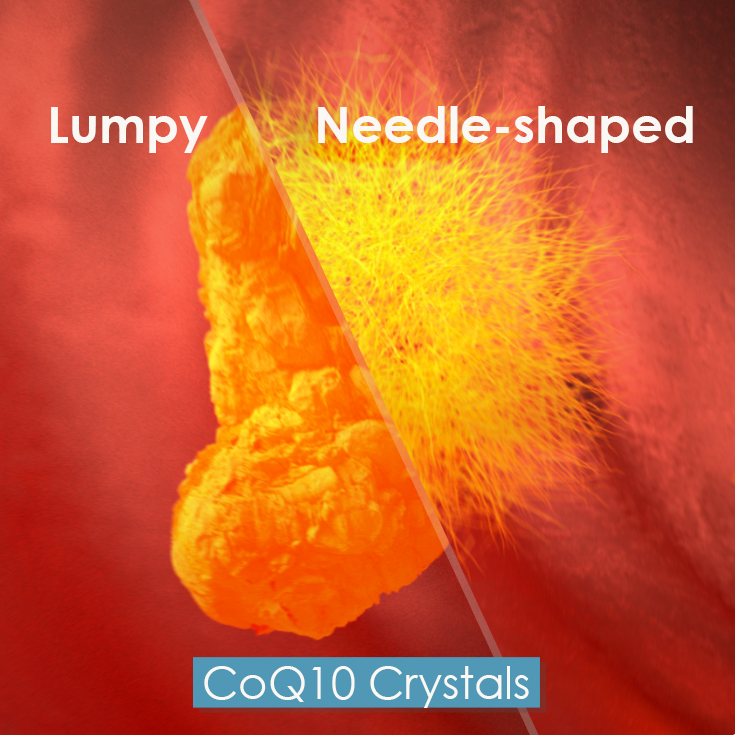 Learn more about why absorption is the key to success when it comes to CoQ10