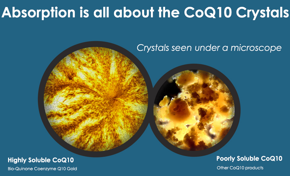 Absorption is all about the CoQ10 Crystals