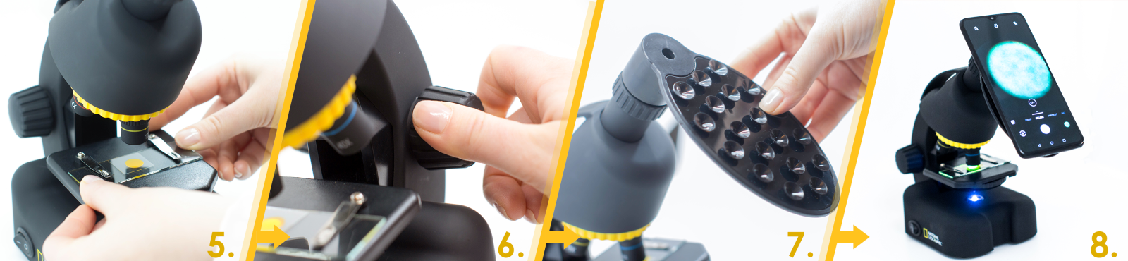 Step-by-step process of setting up the microscope and CoQ10 preparation Step-by-step process of setting up the microscope and CoQ10 preparation